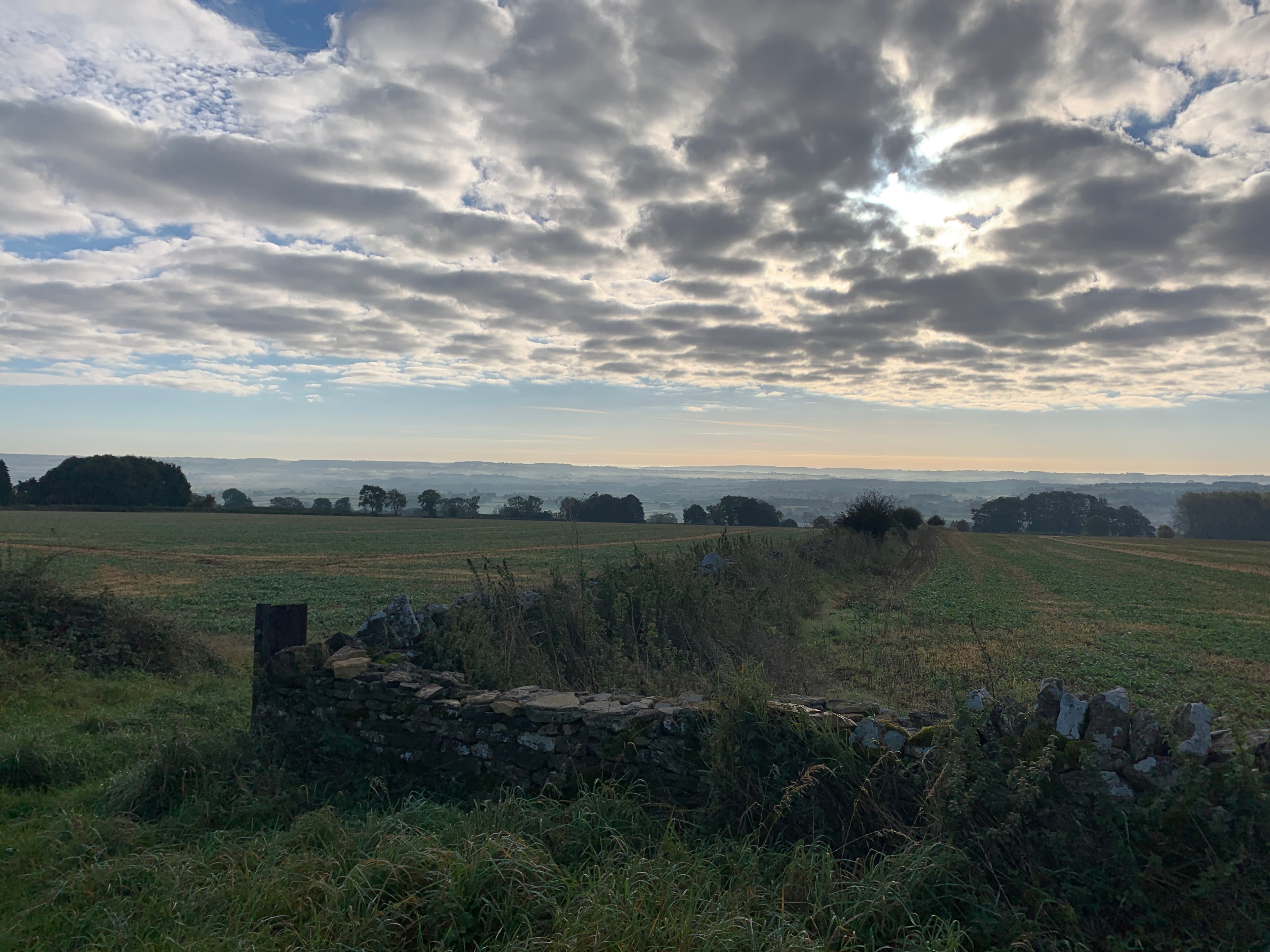 A view of FarmED Apple Day
