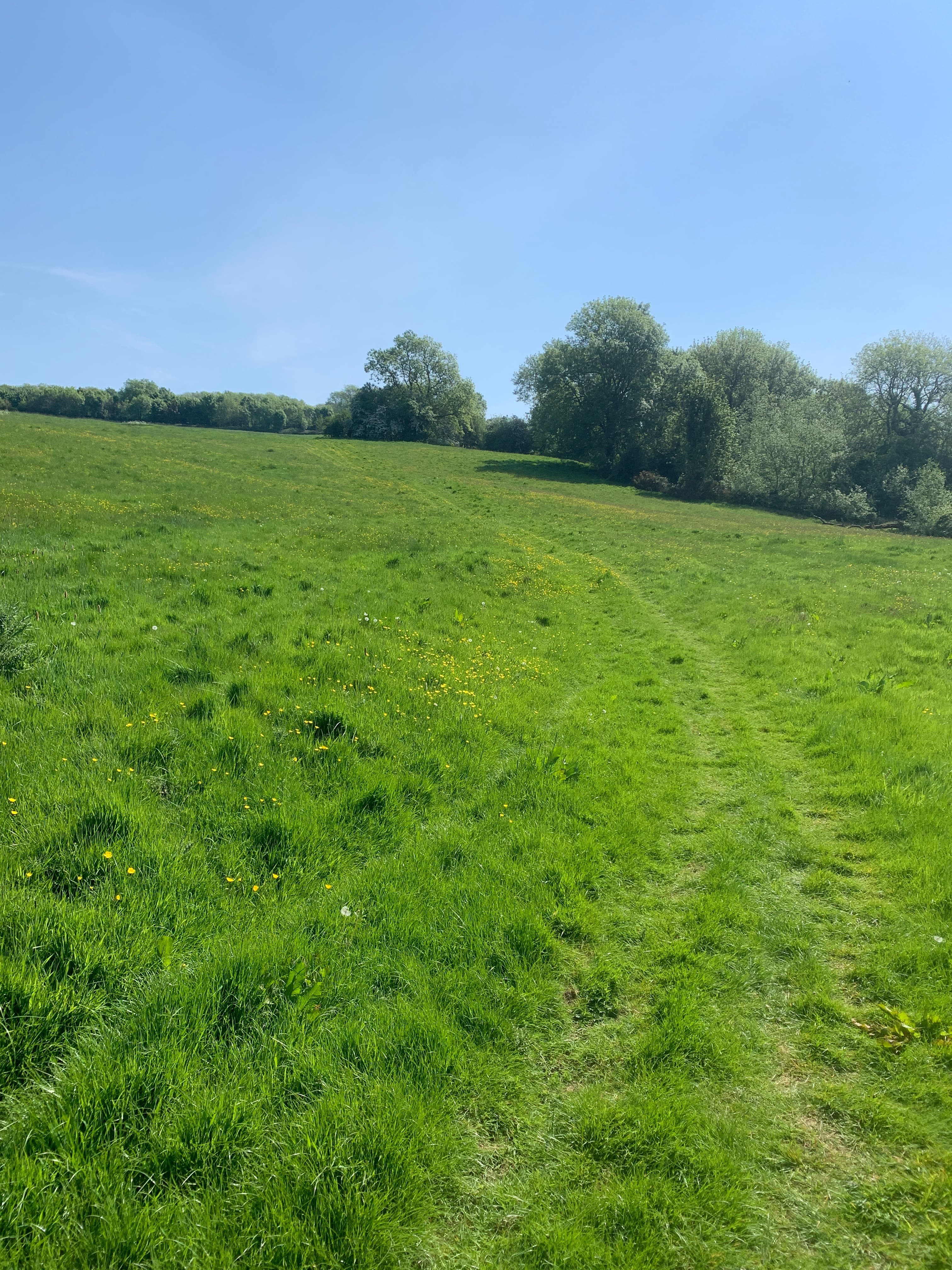 A view of Moreton Show 2026