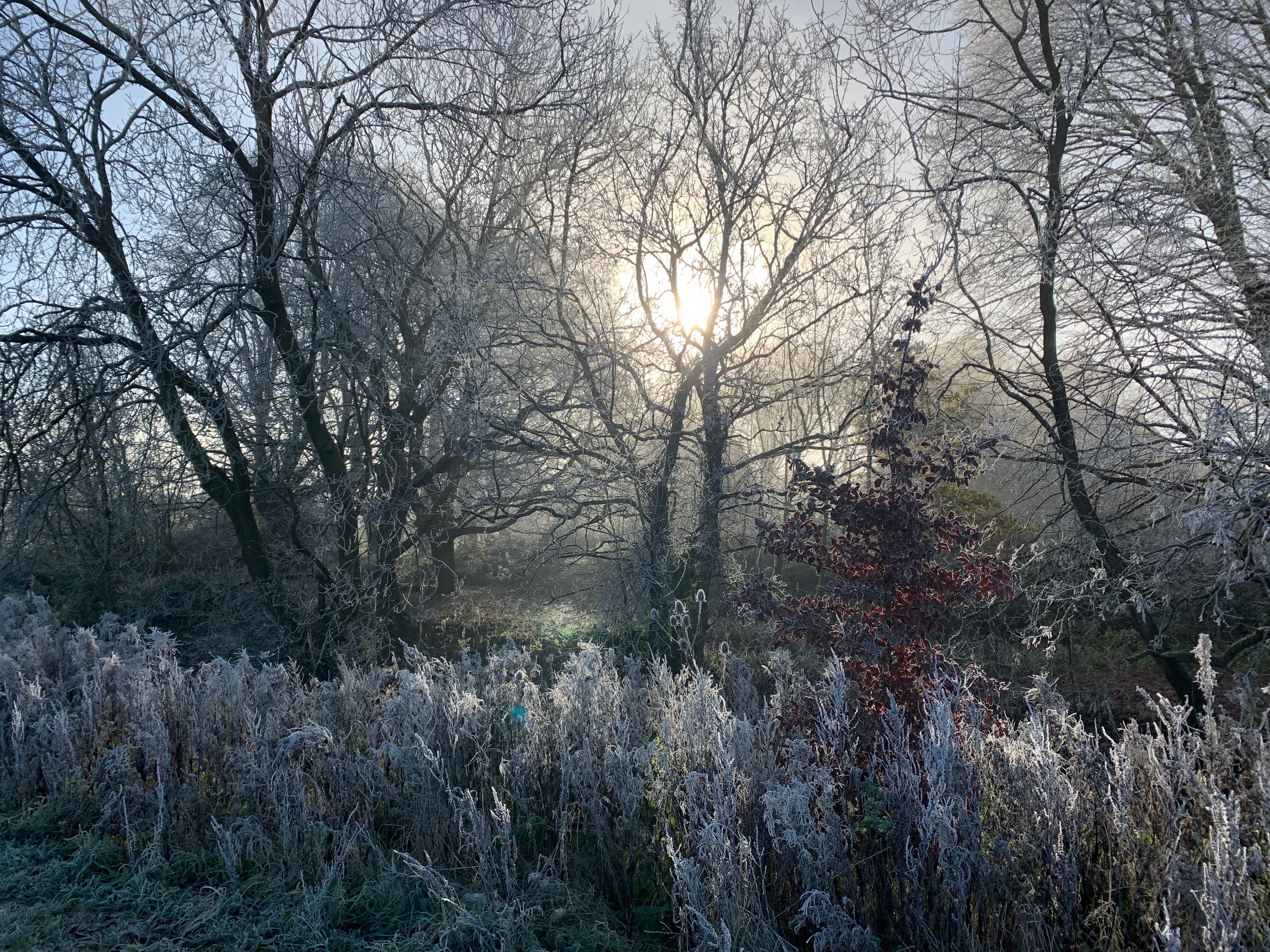 A view of Hatherley Manor Christmas Fireworks, Santa's Grotto & Real Reindeer