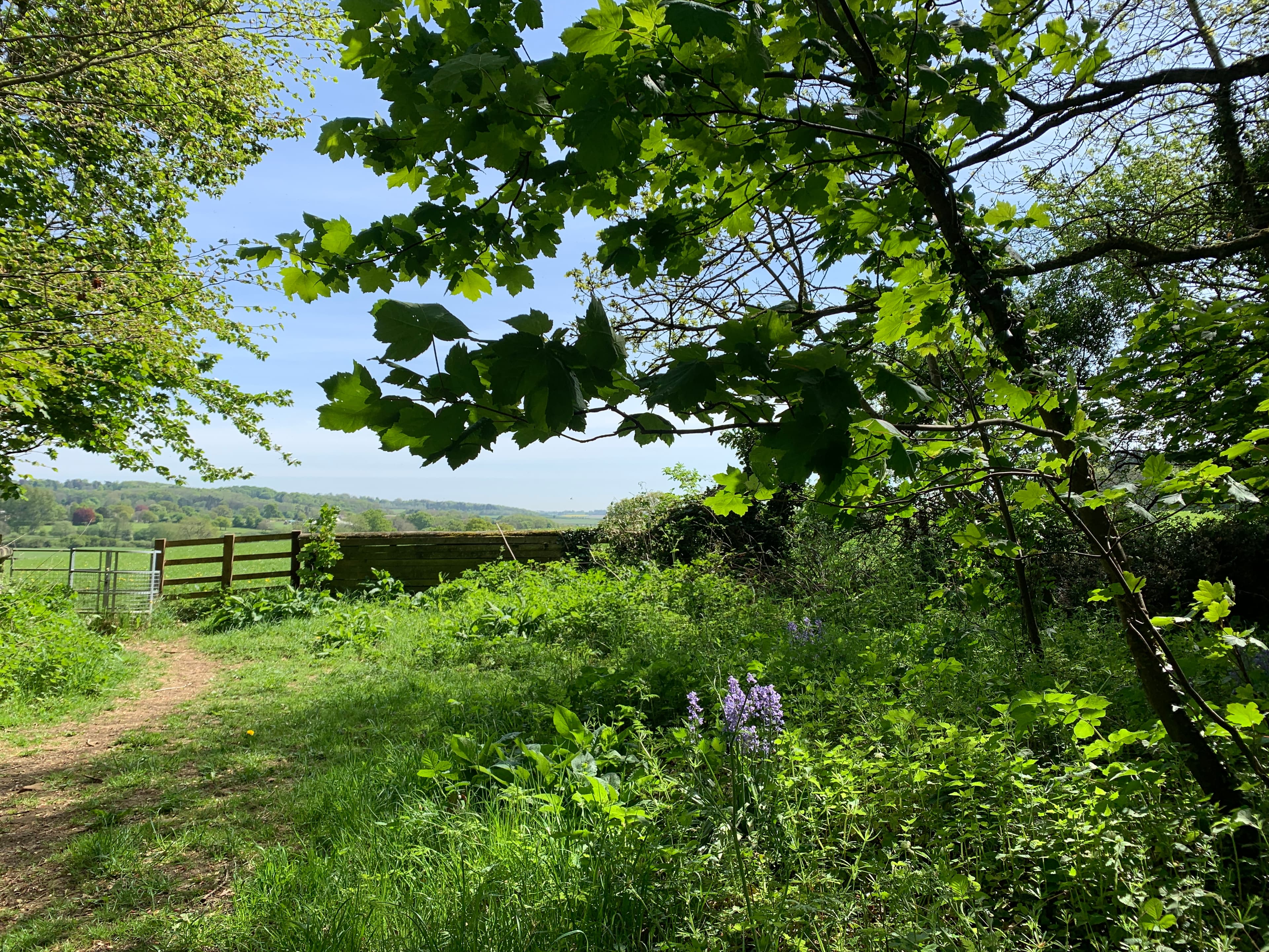 A view of The Porch House