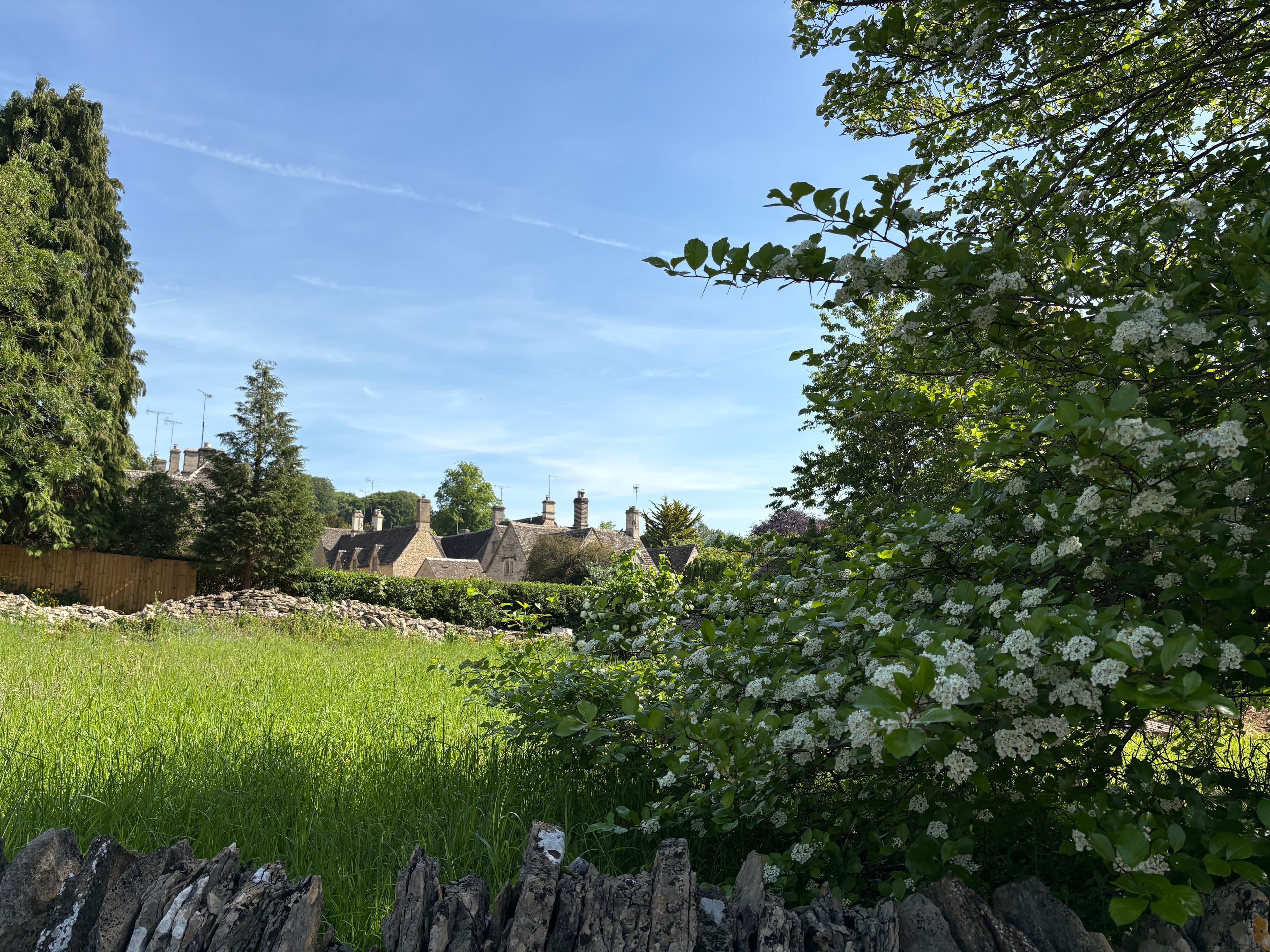Hawthorn blossom and a drystone wall in the foreground, Bibury cottages and chimneys beyond