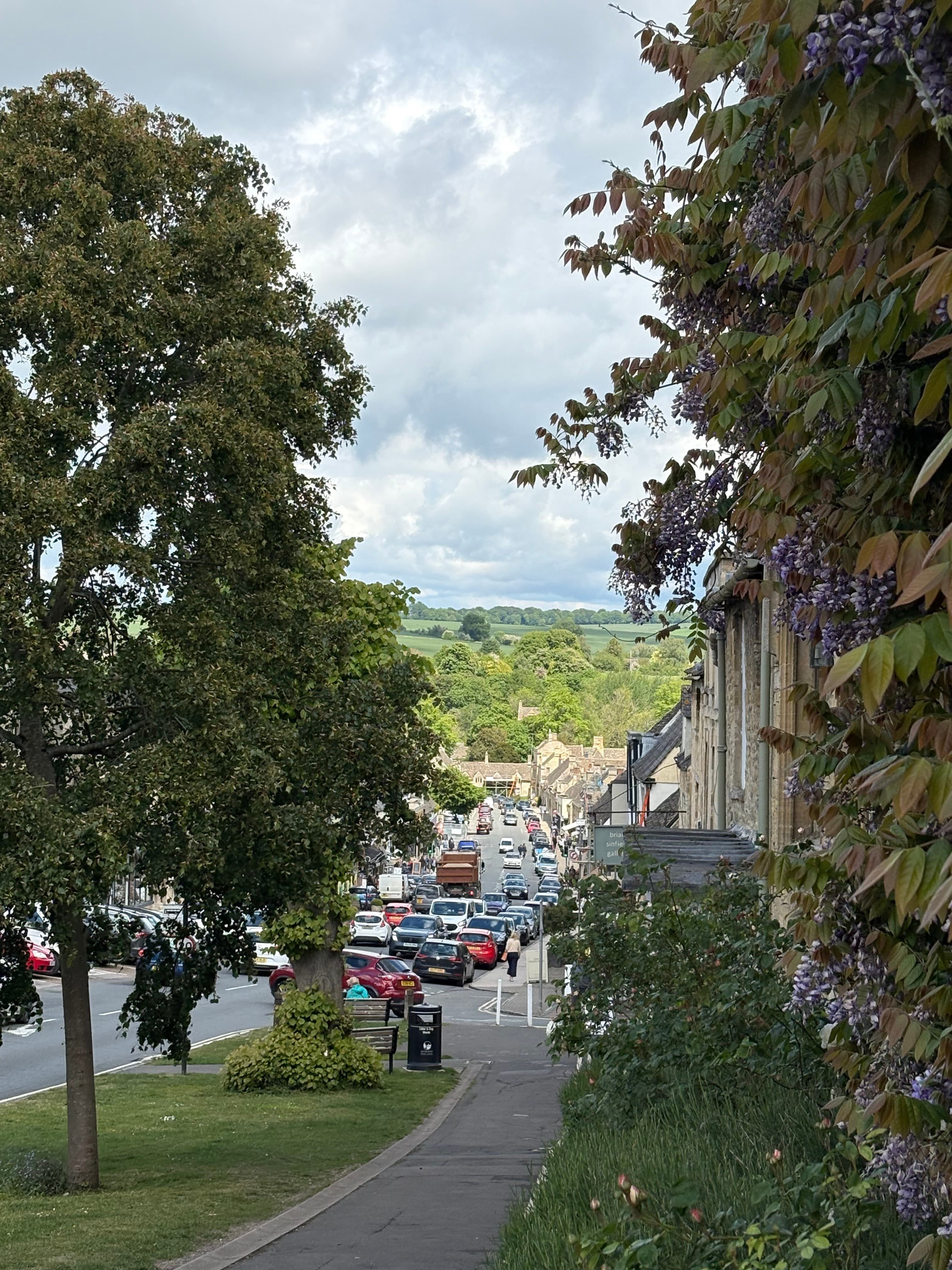 Wisteria framing a glimpse of the high street in late spring