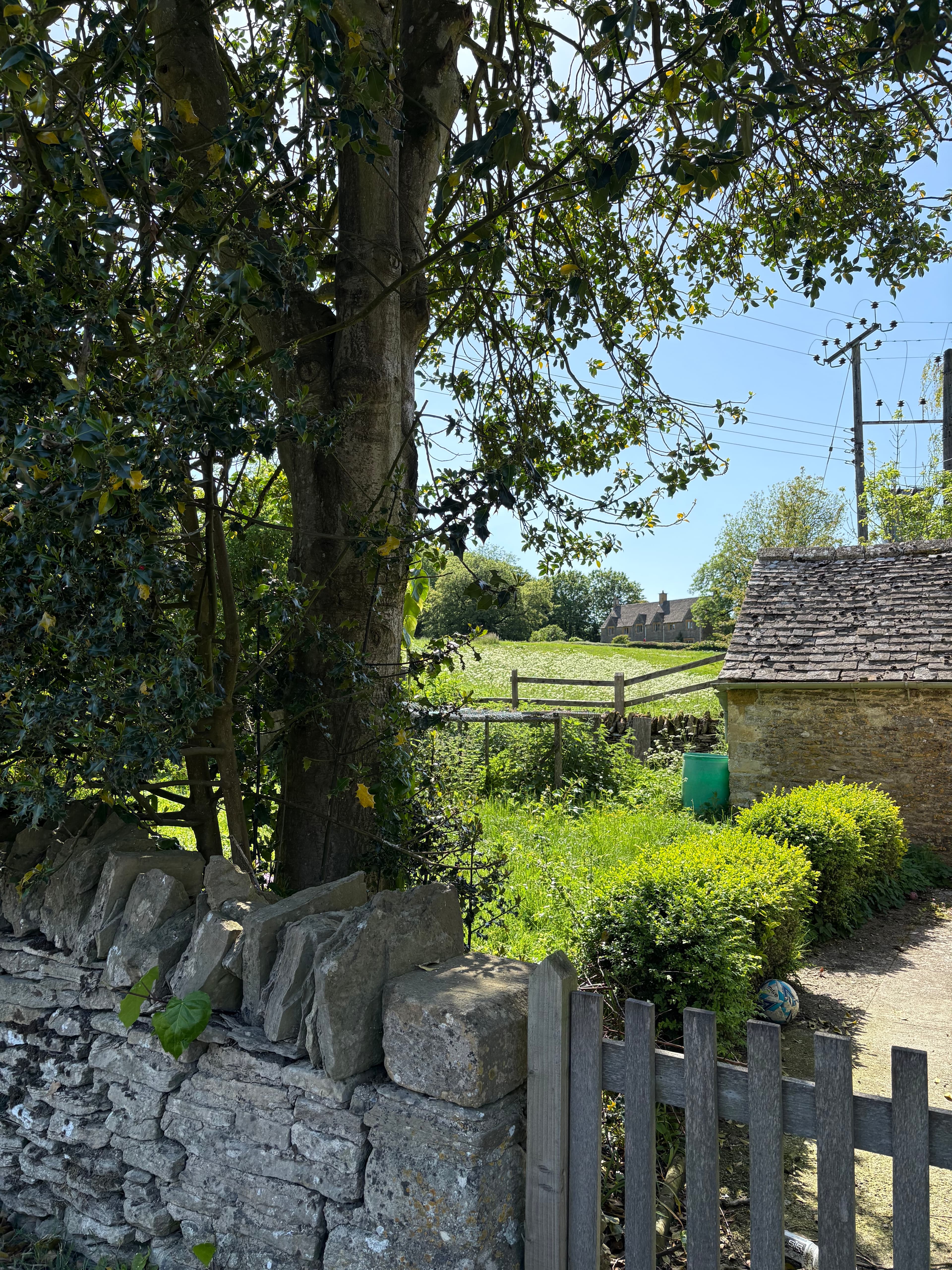 A great tree in the churchyard at Notgrove, with the lych-gate and a village house beyond