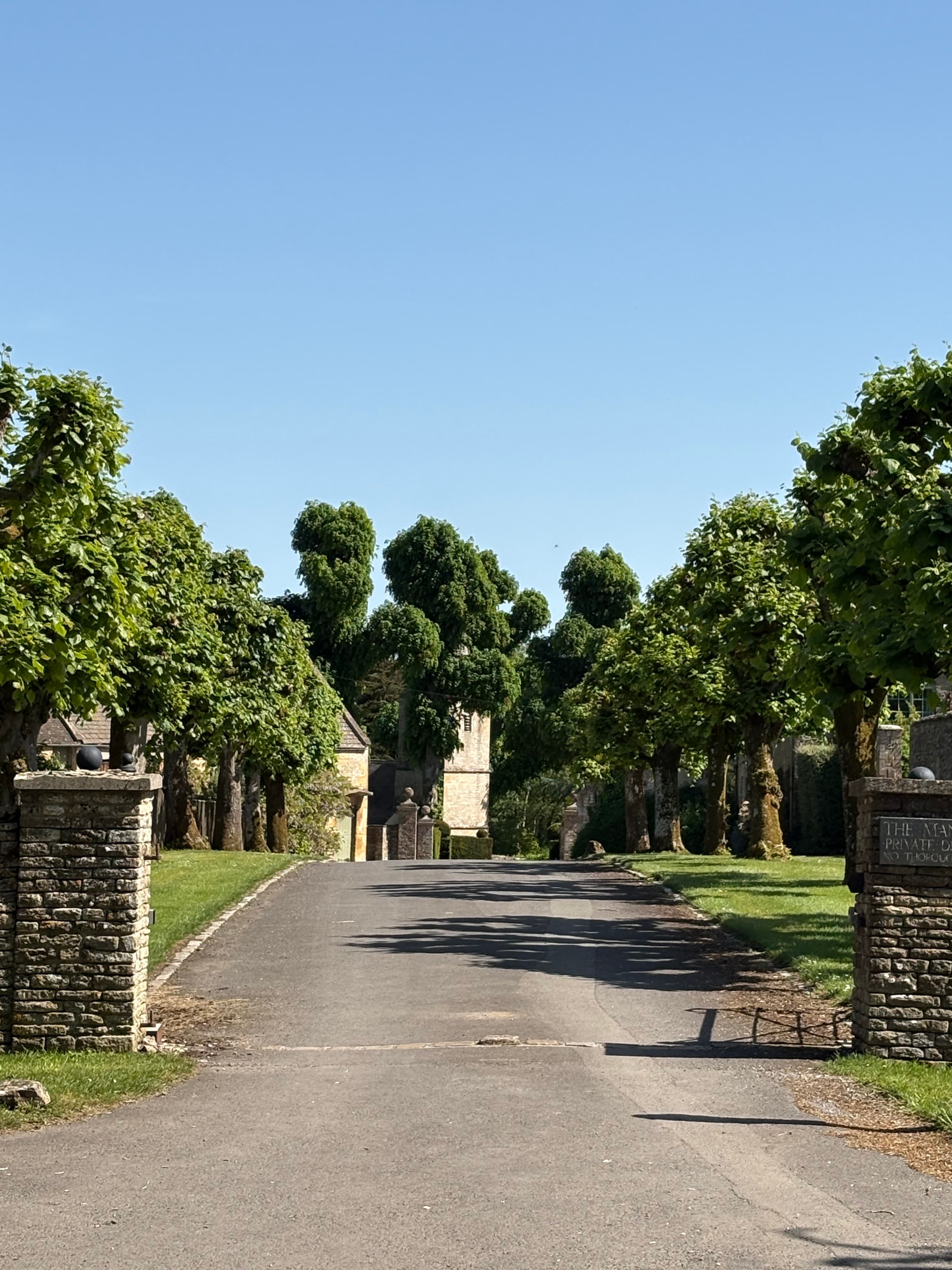 A tree-lined lane through Notgrove with drystone walls either side
