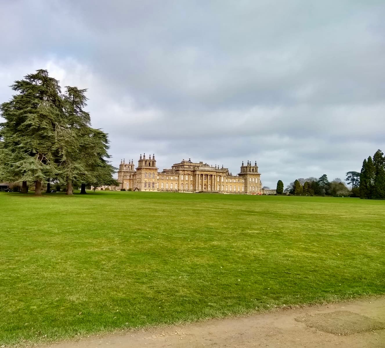 Blenheim Palace's south facade from the parkland, framed by a mature cedar of Lebanon under a brooding sky
