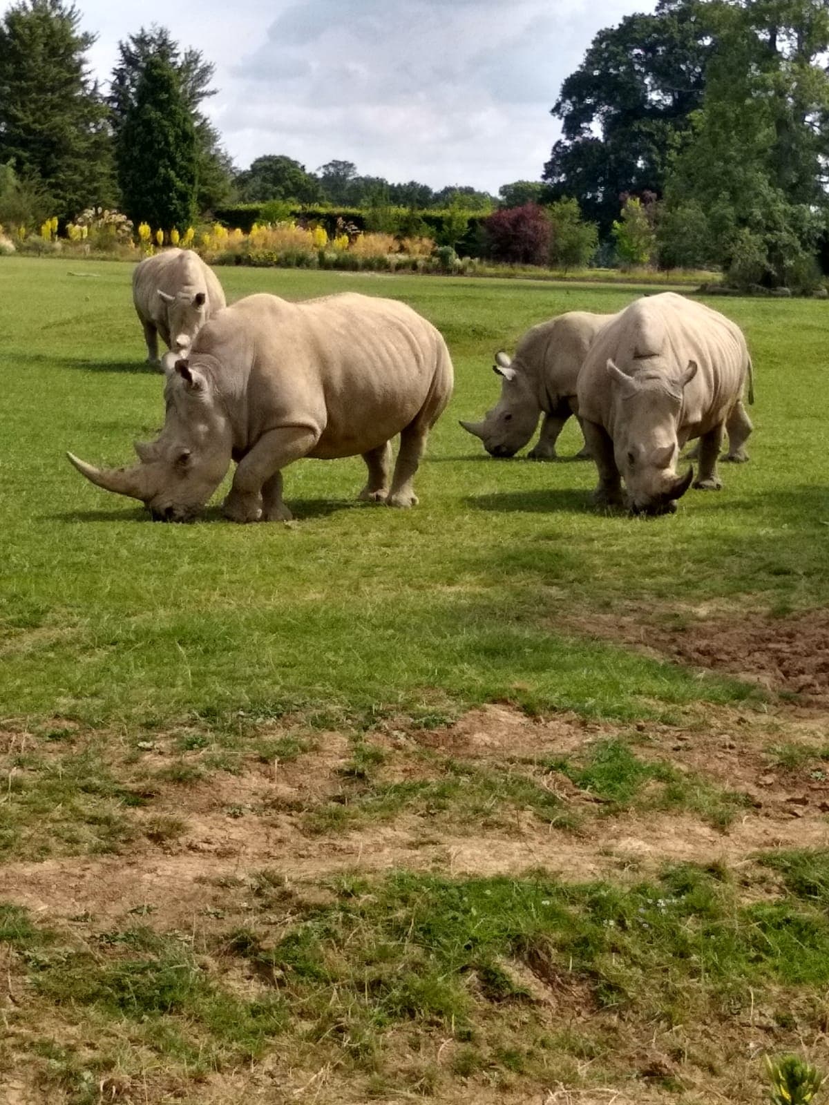 A view of Cotswold Wildlife Park & Gardens