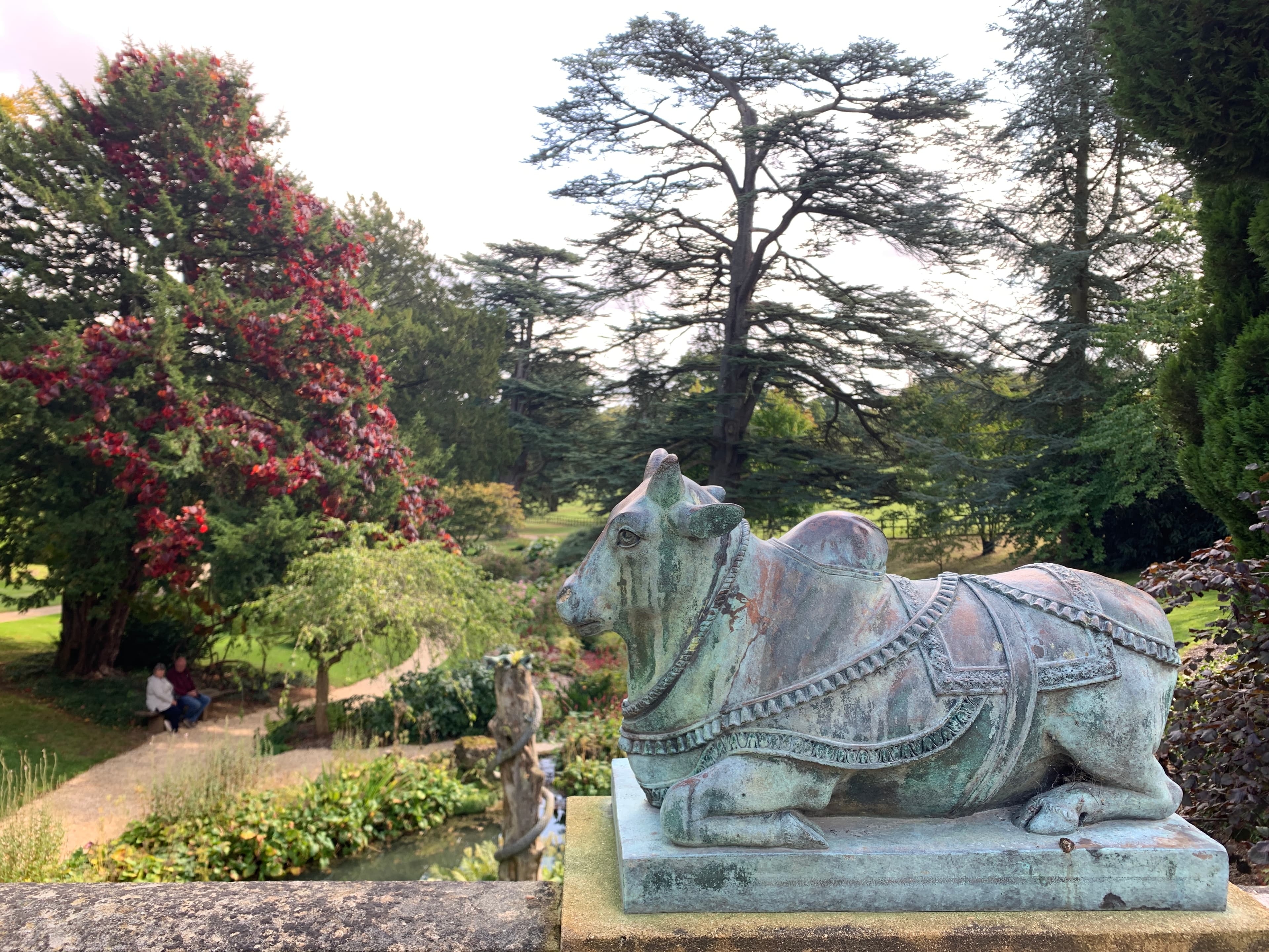 The bronze Brahmin (Nandi) bull at the head of Sezincote's canal, with a Japanese maple in autumn red and mature cedars behind