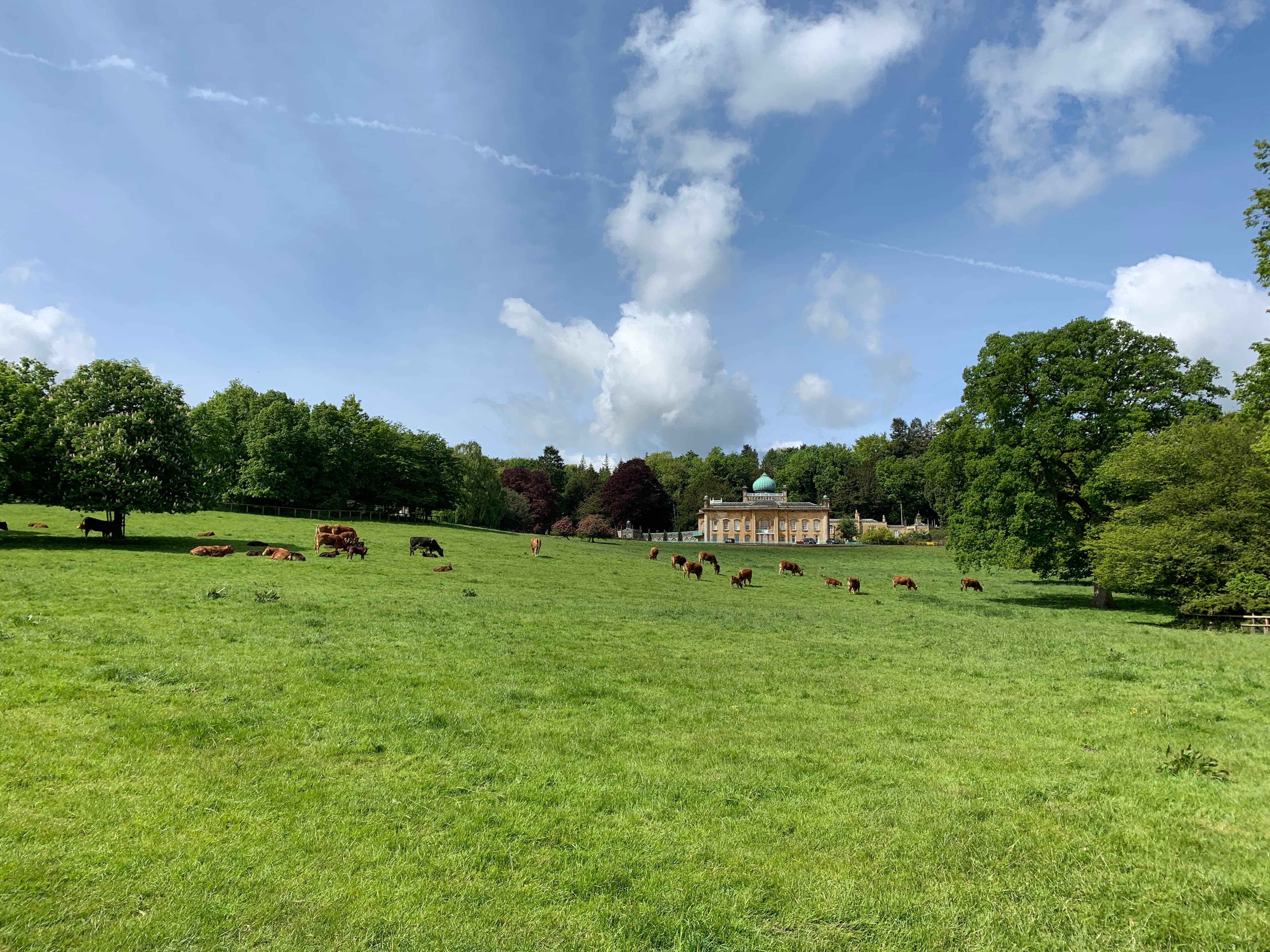 A view of Sezincote House