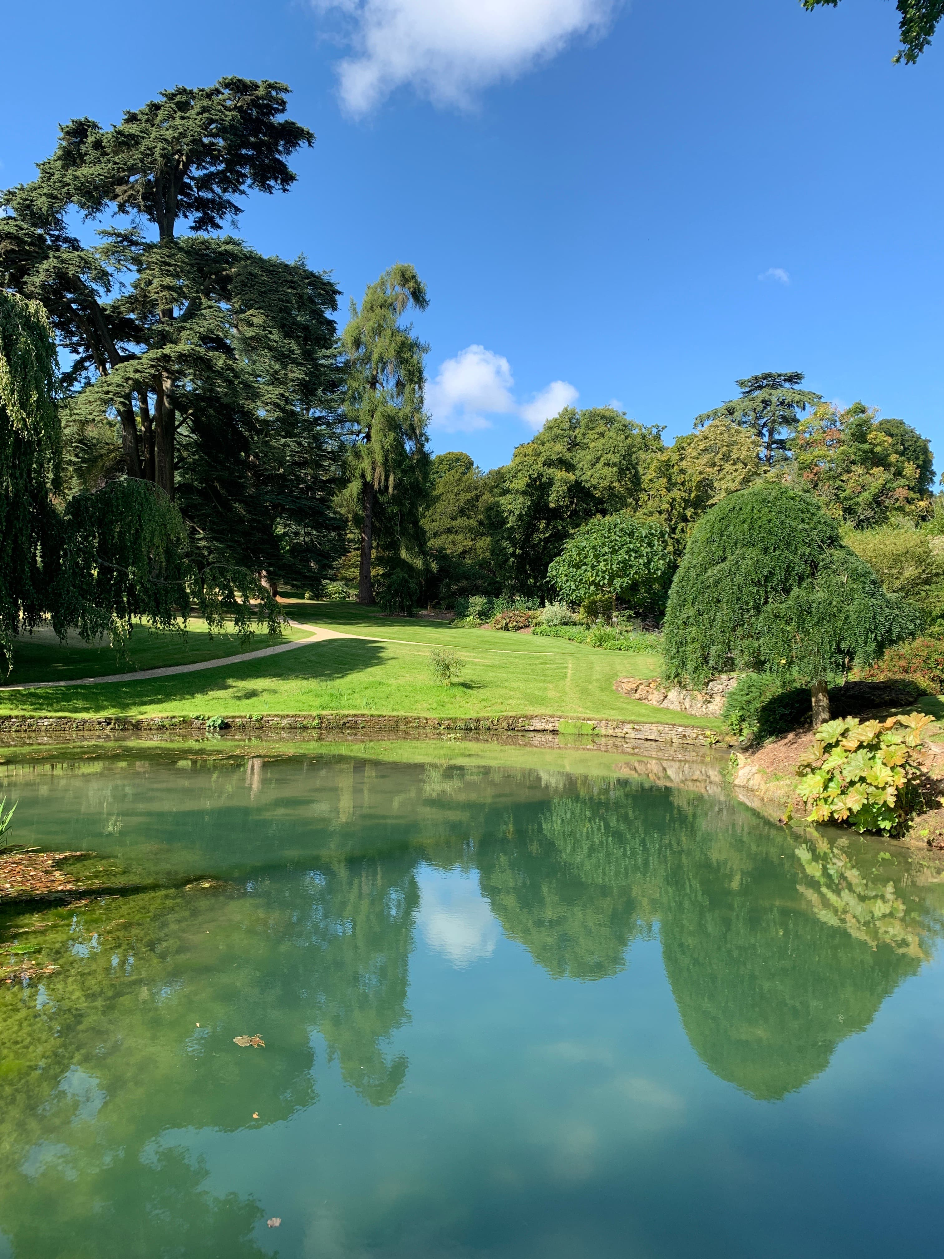 Sezincote's lower garden — curving paths through parkland under mature cedars