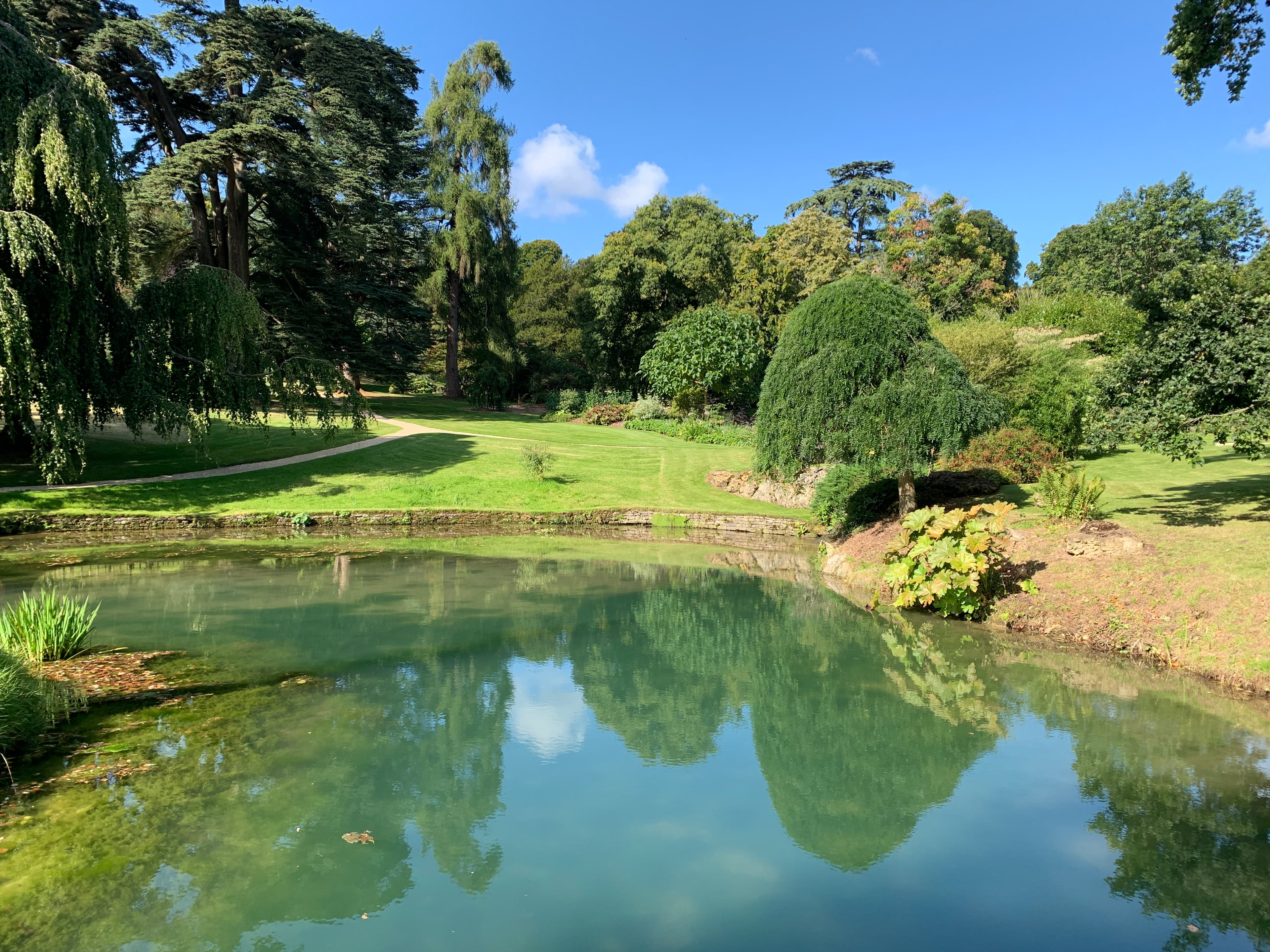 A still reflecting pool at Sezincote, mirroring weeping cedars and a clear summer sky