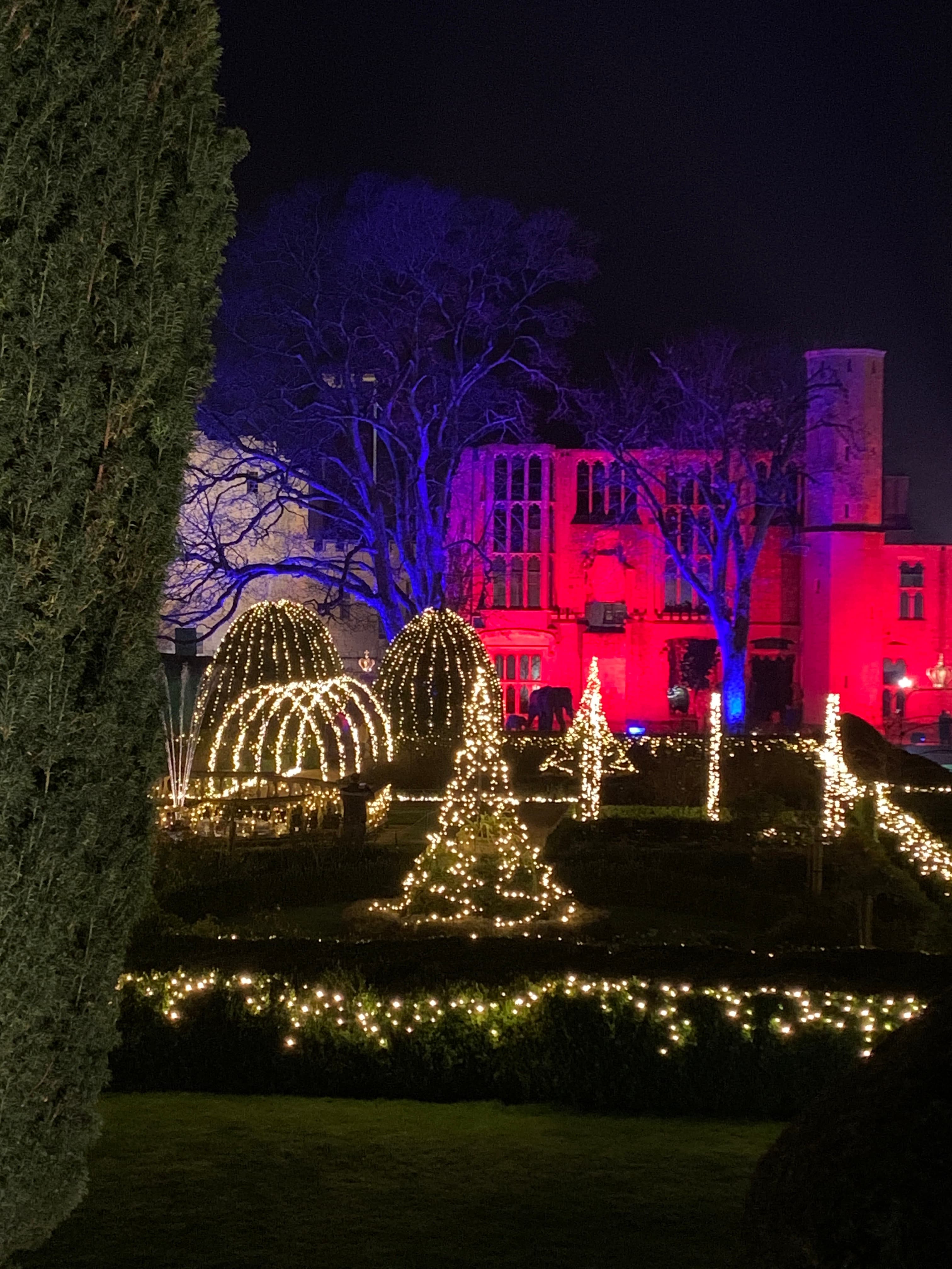 Sudeley Castle floodlit in red and blue at night, with a string-of-light Christmas tree on the lawn