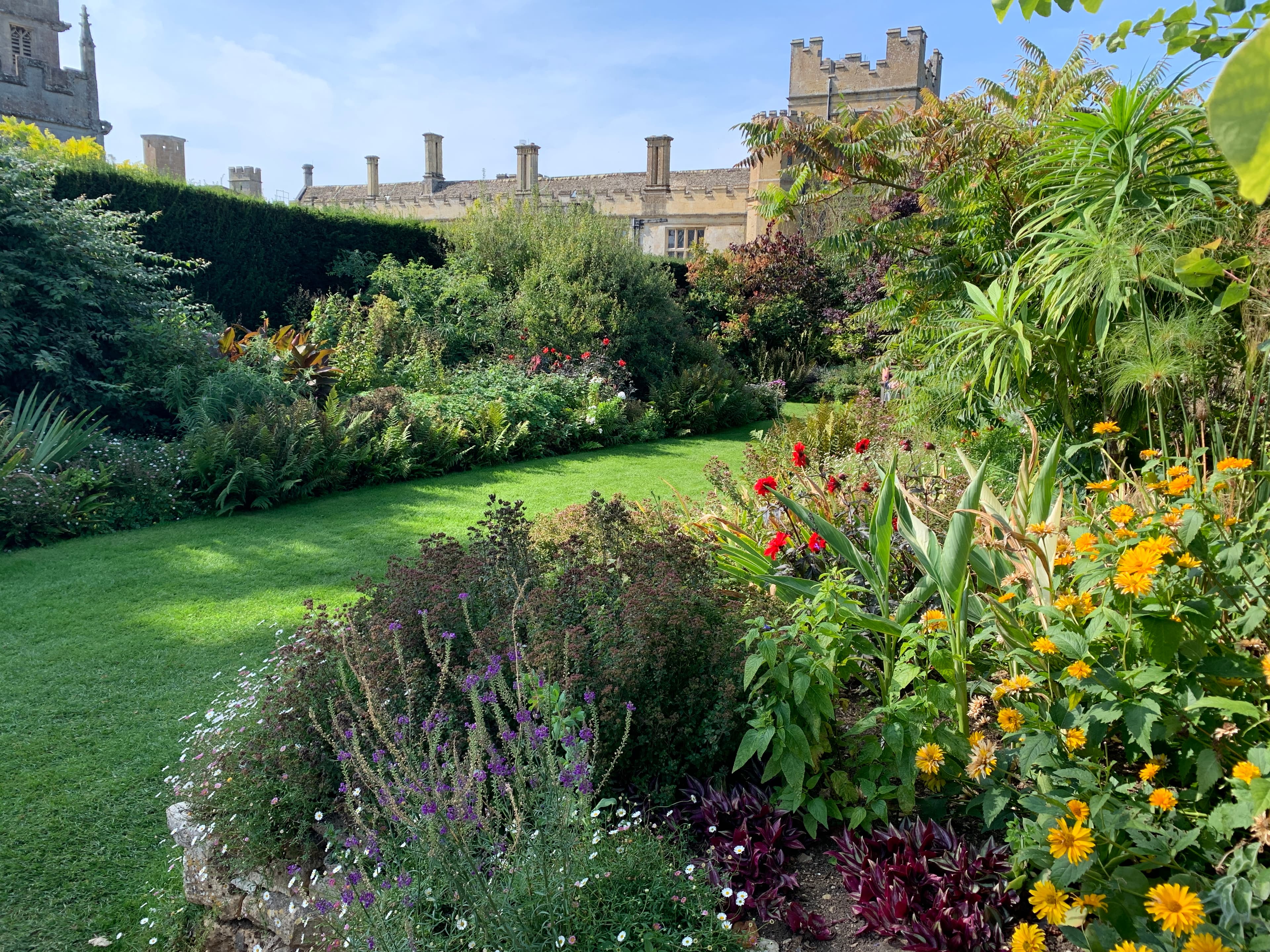 Rudbeckia, salvias and red hot pokers in a Sudeley border, with the chapel tower rising above the yew hedges beyond