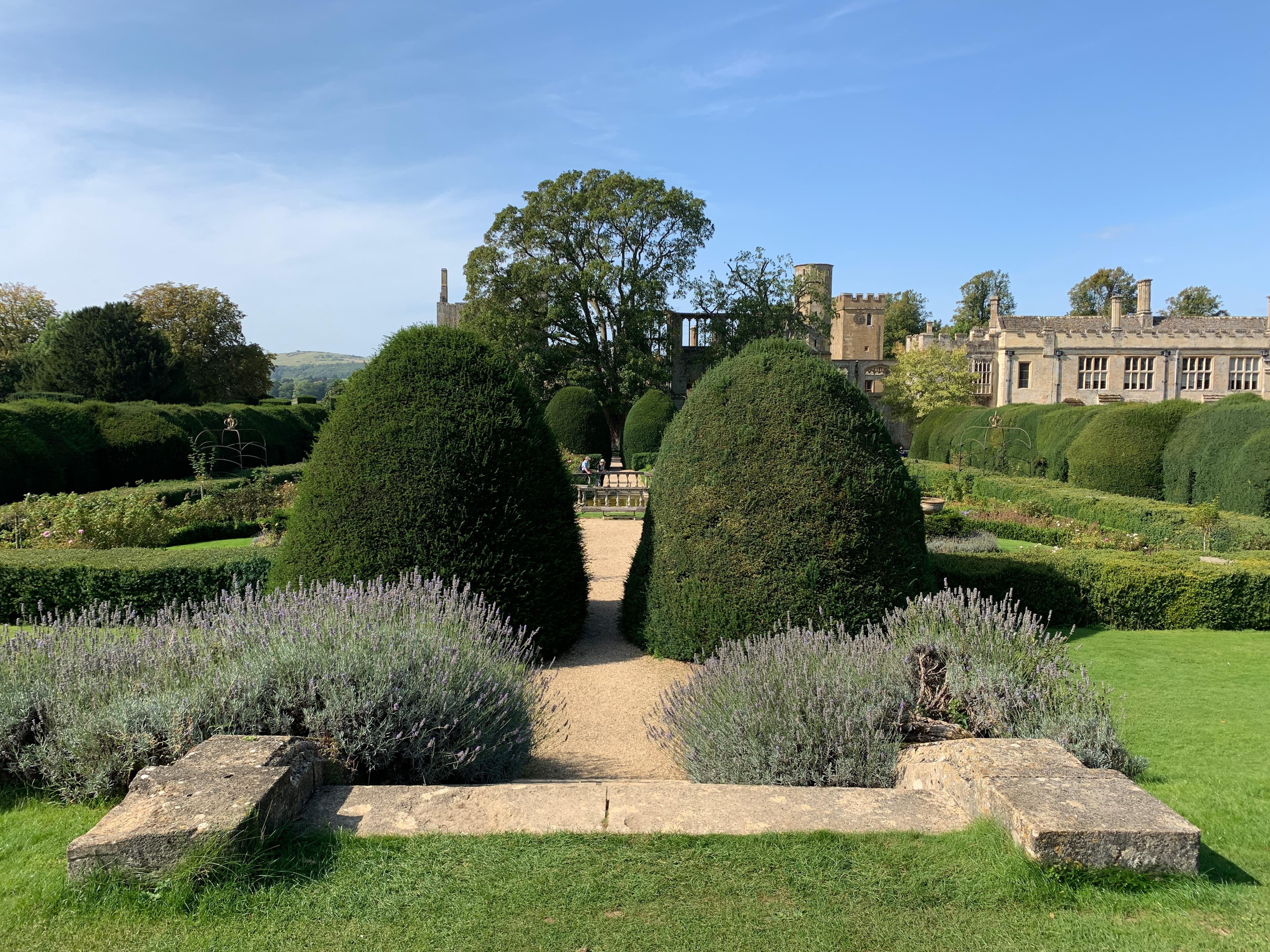 Looking through a gap between two large yew topiary cones into Sudeley's Knot Garden, lavender in the stone planters in the foreground