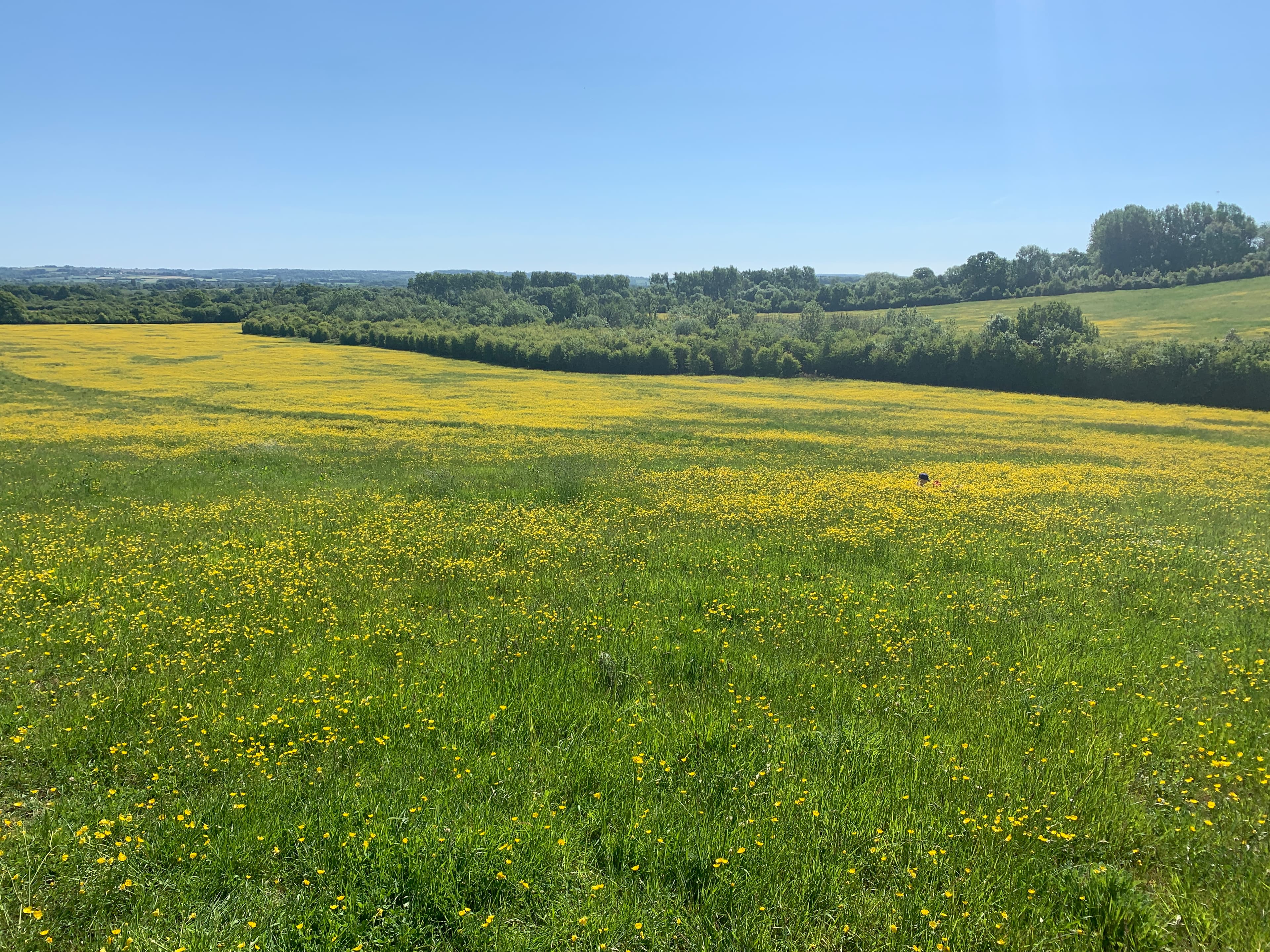 A view of Moreton-in-Marsh Summer Fayre 2026