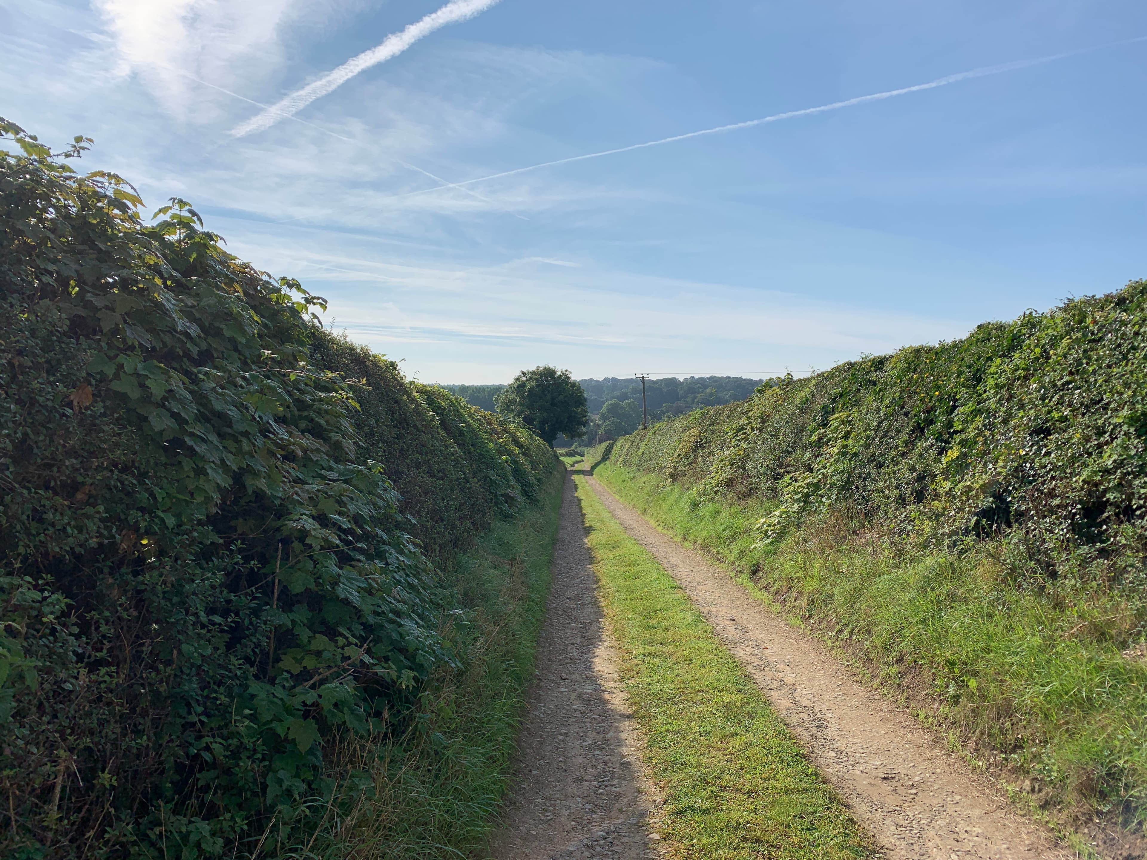 A view of The Wardens' Way