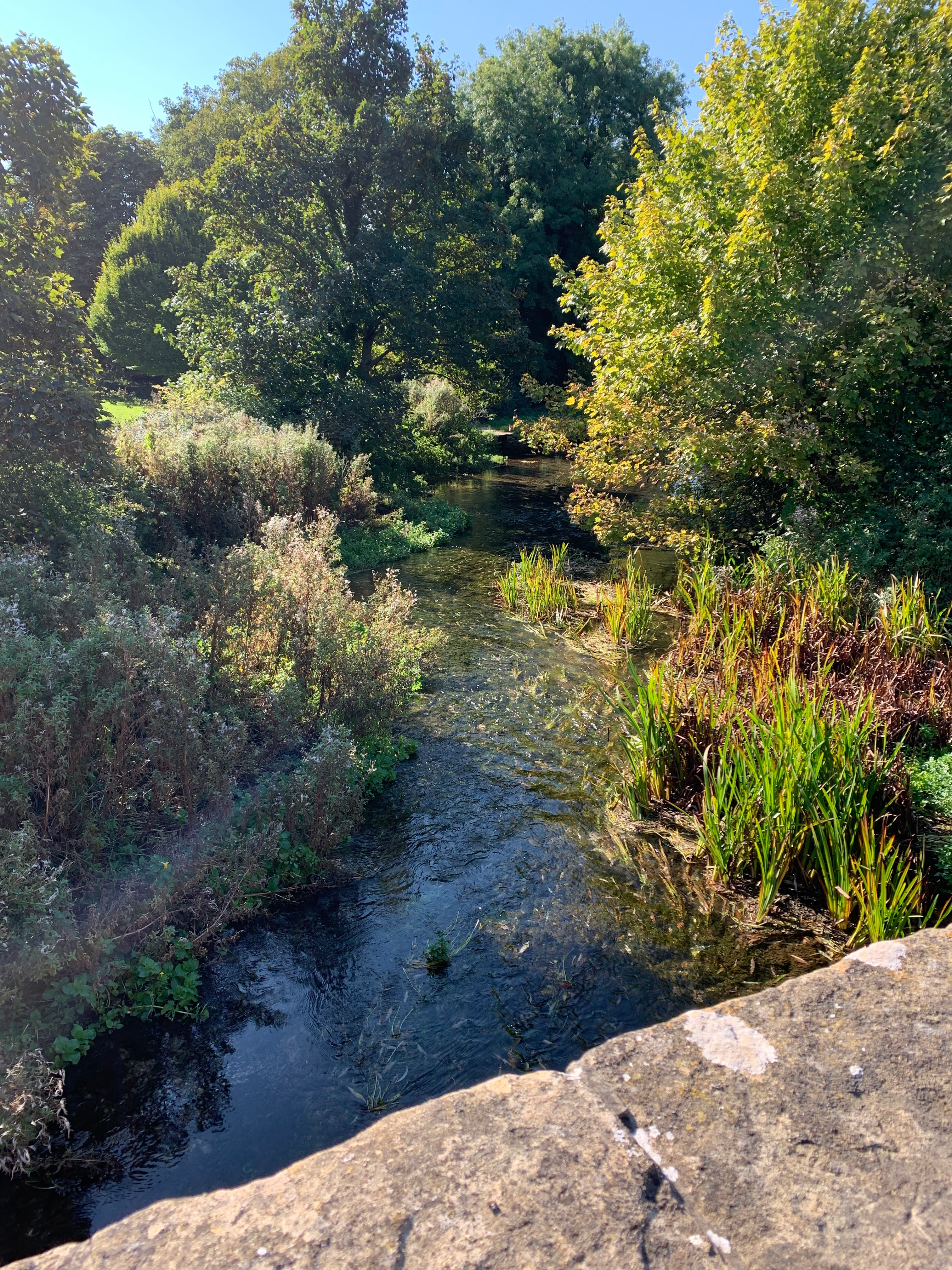 A view of Stratford River Festival 2026