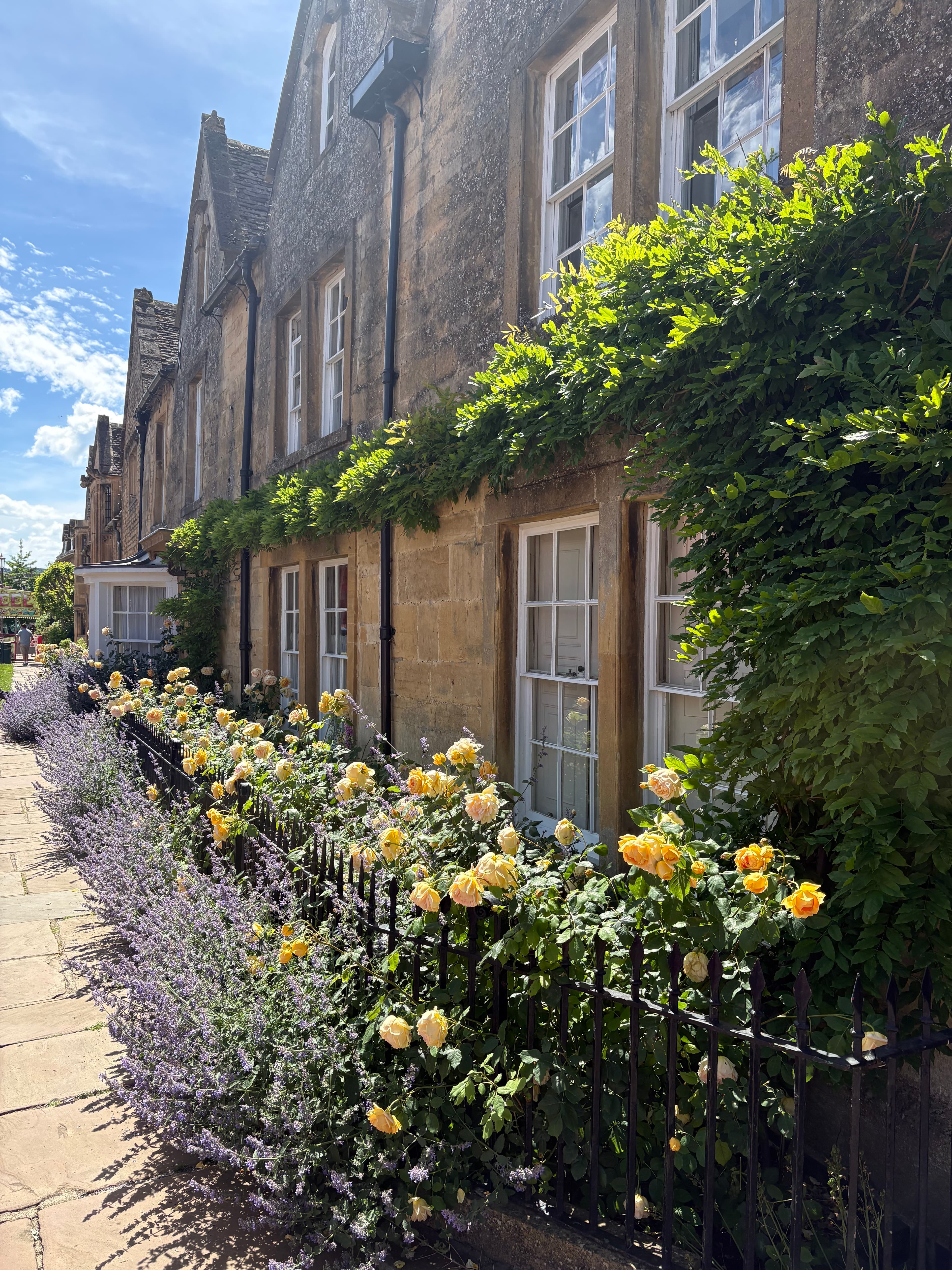Yellow roses and lavender outside a Cotswold-stone cottage in Chipping Campden