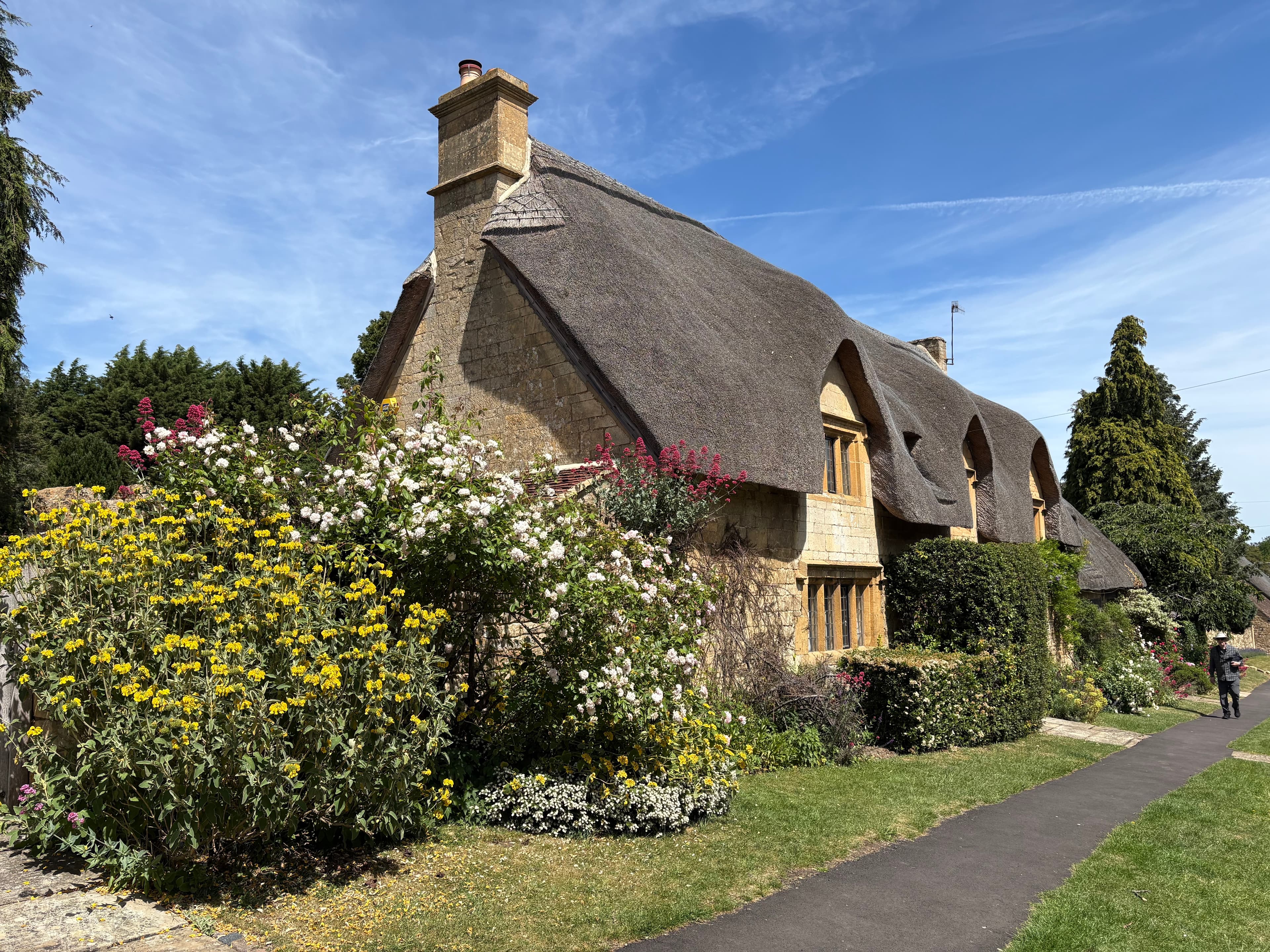 A thatched Cotswold cottage in Chipping Campden with yellow phlomis and old roses in the front garden