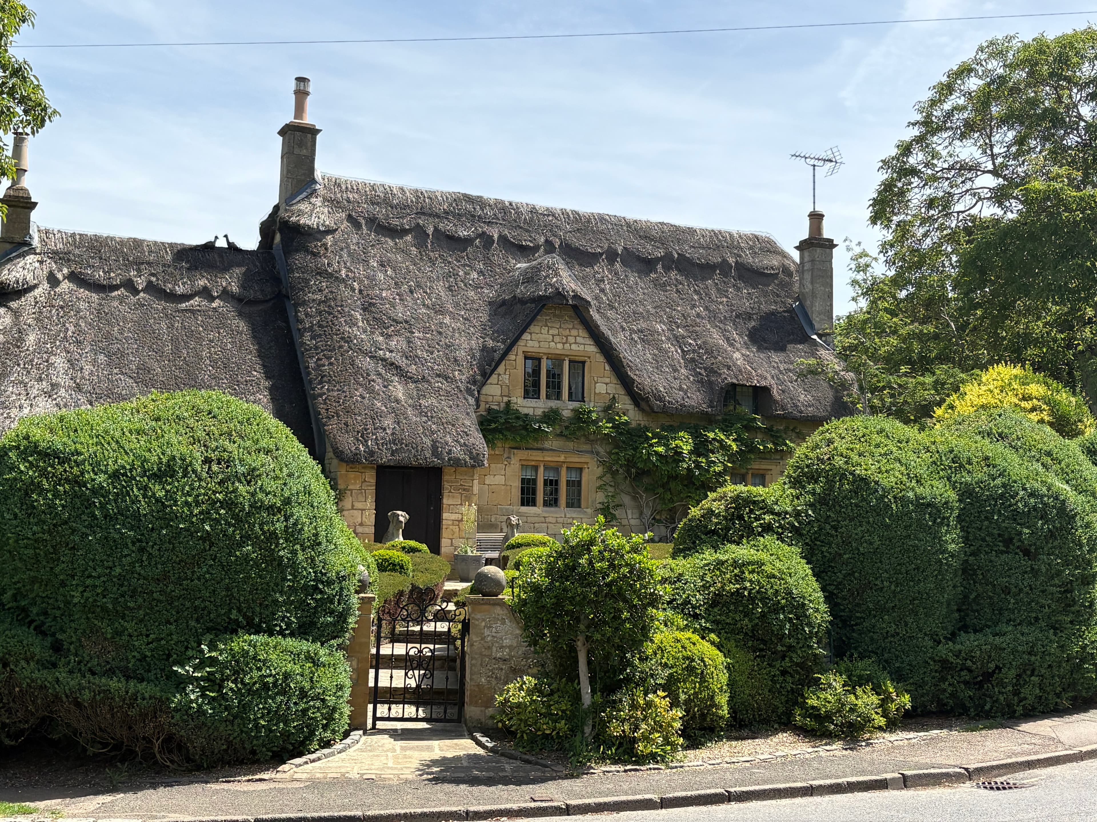 A thatched cottage set behind a row of clipped topiary balls and a small iron gate